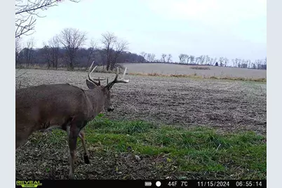 10385 N Rock City Road, German Valley, IL 61039 - Photo 144