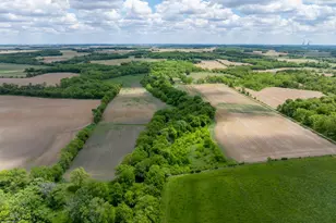 10385 N Rock City Rd, German Valley, IL 61039 - Photo 54