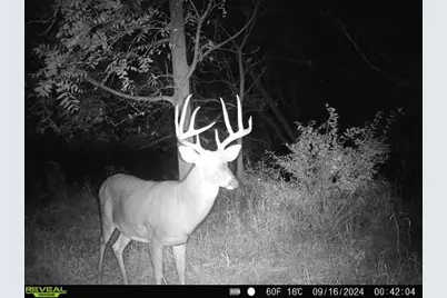 10385 N Rock City Road, German Valley, IL 61039 - Photo 100