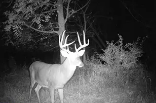 10385 N Rock City Rd, German Valley, IL 61039 - Photo 100