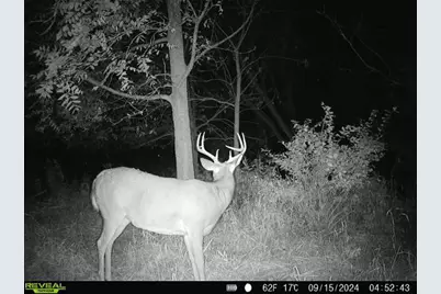 10385 N Rock City Road, German Valley, IL 61039 - Photo 114