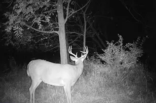 10385 N Rock City Rd, German Valley, IL 61039 - Photo 114