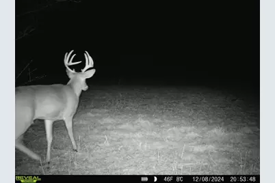 10385 N Rock City Road, German Valley, IL 61039 - Photo 148