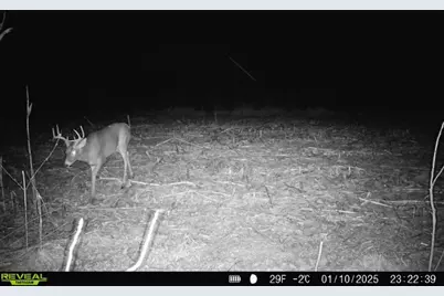 10385 N Rock City Road, German Valley, IL 61039 - Photo 118