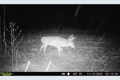 10385 N Rock City Road, German Valley, IL 61039 - Photo 110