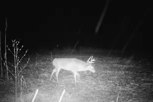 10385 N Rock City Rd, German Valley, IL 61039 - Photo 110