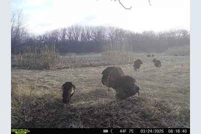 10385 N Rock City Road, German Valley, IL 61039 - Photo 160