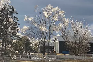 8206 Bull Valley Rd, Bull Valley, IL 60098 - Photo 56