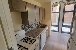 6700 S South Shore Dr, Chicago, IL 60649 - Photo 8