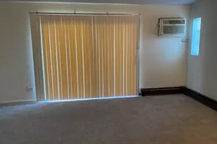 13711 S Stewart Ave, Riverdale, IL 60827 - Photo 2