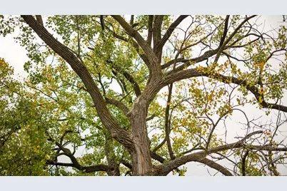 2501 US Highway 20 W, Elizabeth, IL 61028 - Photo 44