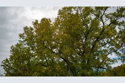 2501 US Highway 20 W, Elizabeth, IL 61028 - Photo 42