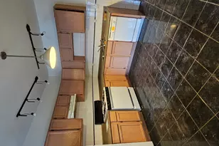 3639 N Greenview Ave, Chicago, IL 60613 - Photo 20