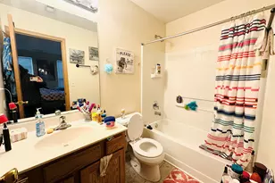 734 Four Seasons Blvd, Aurora, IL 60504 - Photo 10