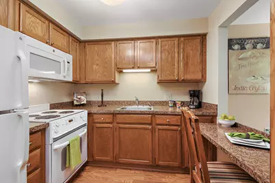 10300 Village Circle Drive #4407, Palos Park, IL 60464 - Photo 2