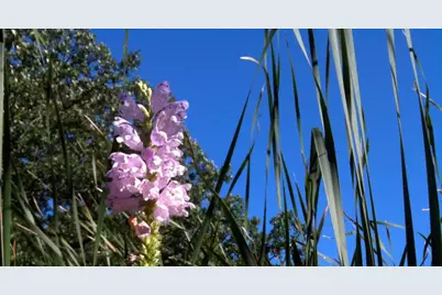 26376 N Farwell Road, Mettawa, IL 60045 - Photo 24