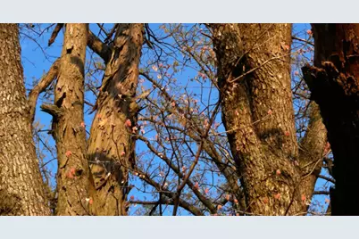 26366 N Farwell Road, Mettawa, IL 60045 - Photo 26