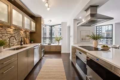 400 E Ohio Street #603, Chicago, IL 60611 - Photo 4