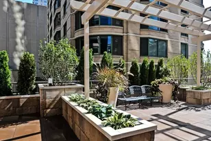 400 E Ohio St, Chicago, IL 60611 - Photo 22