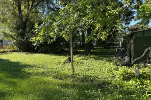 184 S Forest Ave, Bradley, IL 60915 - Photo 24