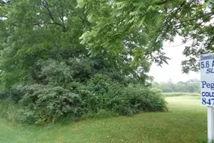 3523 Long Grove Rd, Long Grove, IL 60047 - Photo 6