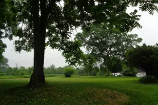 3523 Long Grove Rd, Long Grove, IL 60047 - Photo 8