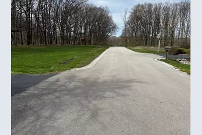 258 S Root Drive, Crete, IL 60417 - Photo 4