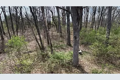 258 S Root Drive, Crete, IL 60417 - Photo 10
