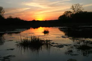 267 Red Oak Cir, Volo, IL 60020 - Photo 18