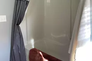 1808 S Orchard Dr, Mahomet, IL 61853 - Photo 22