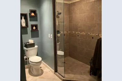 1808 S Orchard Drive, Mahomet, IL 61853 - Photo 40