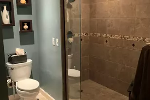 1808 S Orchard Dr, Mahomet, IL 61853 - Photo 40