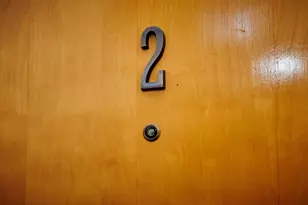 213 W Wisconsin St, Chicago, IL 60614 - Photo 10