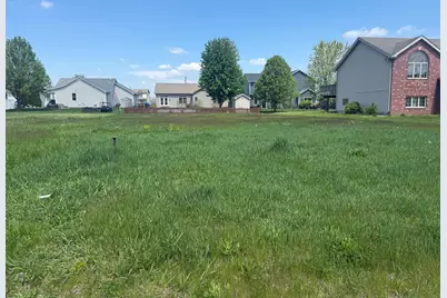 1018 Madison Avenue, Braidwood, IL 60408 - Photo 1