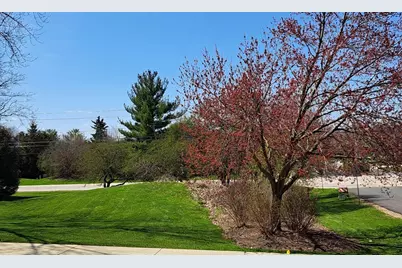 135 Thornhill Farm Lane, Saint Charles, IL 60175 - Photo 42