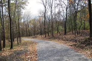 Lot #6 Thirty Foot Trail Rd, Oglesby, IL 61348 - Photo 1