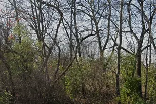 160 N US Hwy 12, Fox Lake, IL 60020 - Photo 1