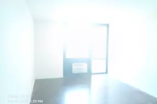 3041 S Michigan Ave, Chicago, IL 60616 - Photo 8