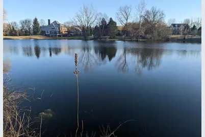 26668 N Middleton Parkway, Mundelein, IL 60060 - Photo 2