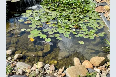 23875 E 00 N Road, Cropsey, IL 61731 - Photo 46