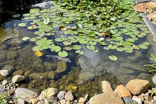 23875 E 00 N Rd, Cropsey, IL 61731 - Photo 46