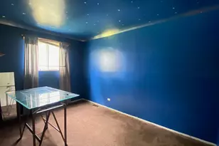 1040 W 104th St, Chicago, IL 60643 - Photo 8