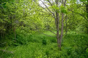 0 Capp Rd, Morrison, IL 61270 - Photo 60