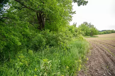 0 Capp Road, Morrison, IL 61270 - Photo 62