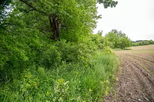 0 Capp Rd, Morrison, IL 61270 - Photo 62