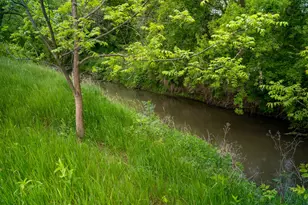 0 Capp Rd, Morrison, IL 61270 - Photo 54