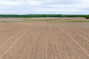 0 Capp Rd, Morrison, IL 61270 - Photo 40