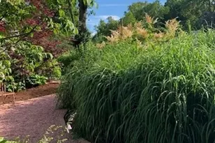 941 Harms Rd, Glenview, IL 60025 - Photo 4