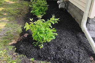 103 W Cherokee Ave W, Shabbona, IL 60550 - Photo 4