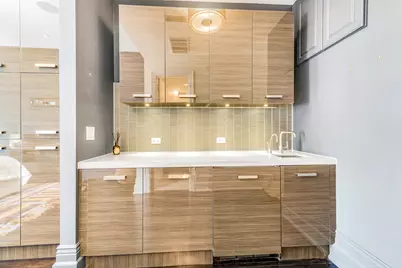 53 E Division Street, Chicago, IL 60610 - Photo 48